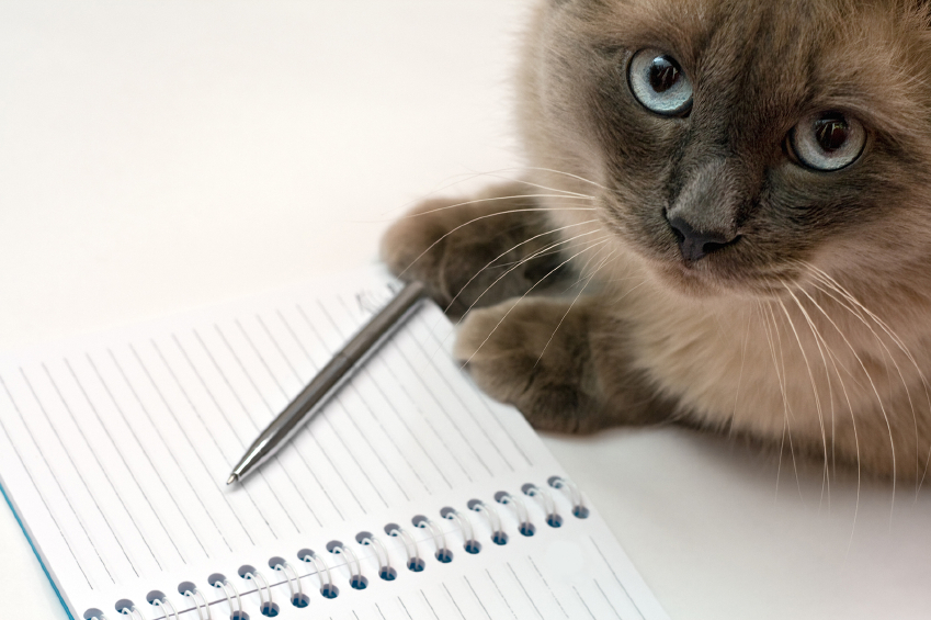 should i leave water out for my puppy all day cat pen and blank open notepad should i leave water out for my puppy all day cat pen and blank open notepad