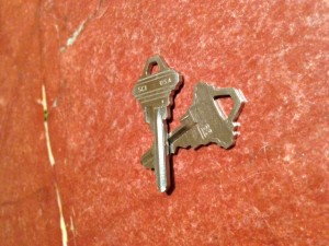 sherman oaks pet sitter two sets of keys