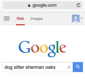 how to find a find a pet sitter Google Search Dog Sitter Sherman Oaks