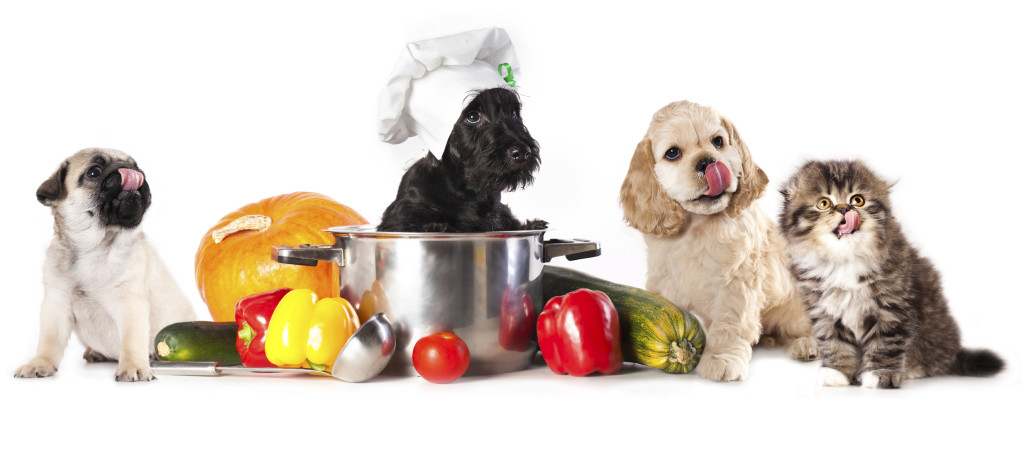 Thanksgiving recipes safe for pets