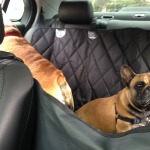 Holiday Gifts for Dog Lovers - 4Knines Doggy Car Seat Cover
