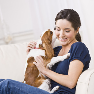 benefits of using a professional pet sitter