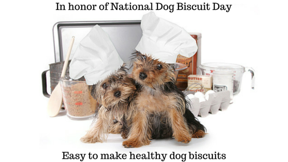 National Dog Biscuit Day(2)