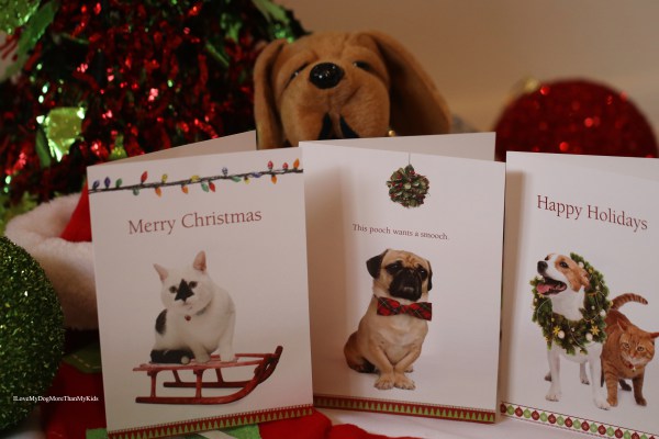 Holiday Gift Guide For Dog Lovers Animal Themed Holiday Cards