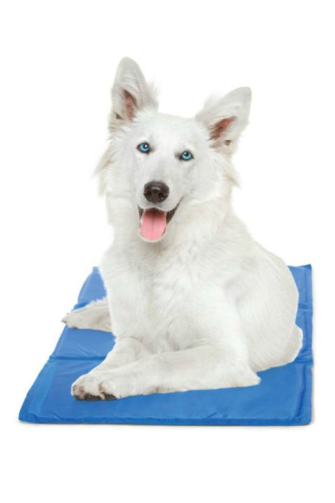 Holiday Gift Guide For Dog Lovers Cooling Mat