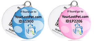 Holiday Gift Guide For Dog Lovers The Smart Pet Tag