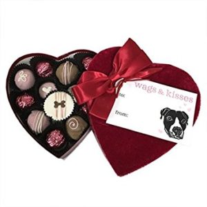 Stylish Valentine's gifts for dogs