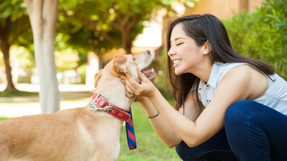 What It Means To Be A Responsible Dog Owner