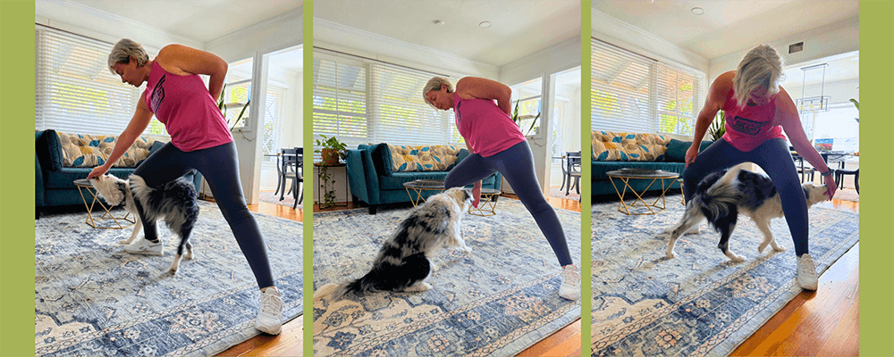 Figure 8 Standing Through - 10 Tricks To Exercise Your Dog - Rufus and Delilah