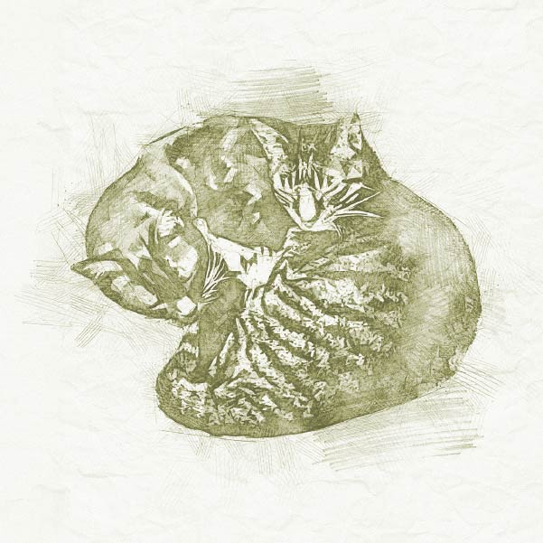 Pet Sitting Sketch - Rufus and Delilah