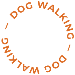 Circle Dog Walking - Rufus and Delilah
