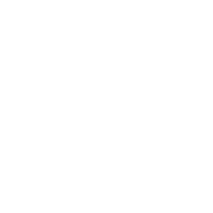 Icon Chicken - Rufus and Delilah