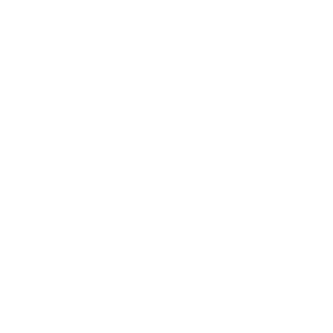 Icon Chinchilla - Rufus and Delilah
