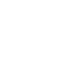 Icon Lizzard - Rufus and Delilah