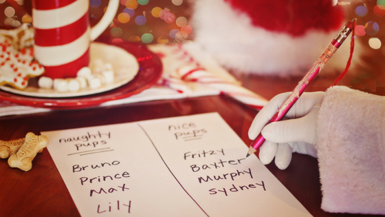 2017 Pet Holiday Gift Guide