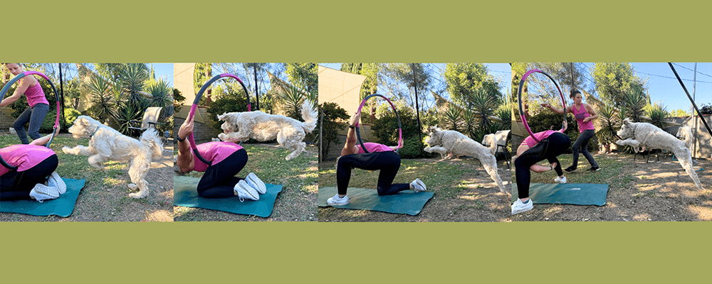 Hoop Jump - 10 Tricks To Exercise Your Dog - Rufus and Delilah