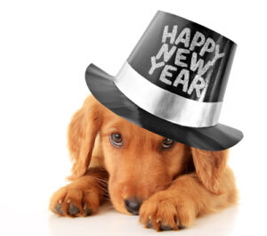New Year's resolutions