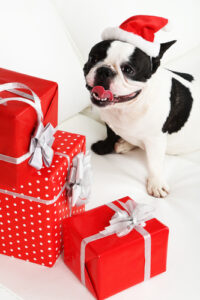 gifts for dog lovers