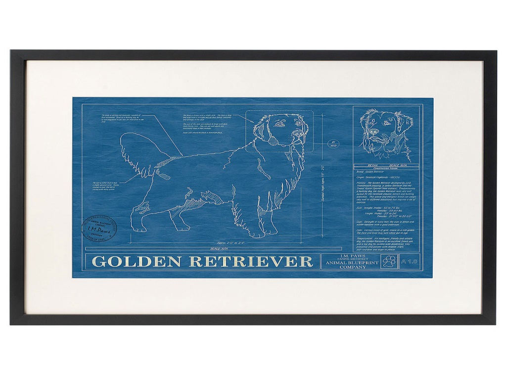 Holiday Gift Guide For Dog Lovers Dog Blueprints