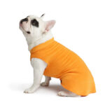 Gold Paws Series Stretch Fleece - Gifts for Dogs