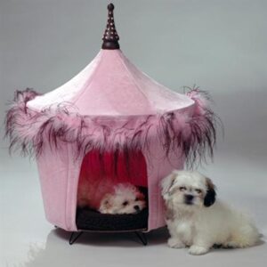 stylish Valentine's gifts for dogs