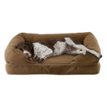Holiday Gift Ideas For Dogs