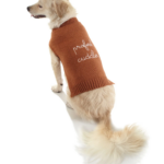 Dog Walking Must-Haves