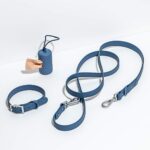 Dog Walking Must-Haves