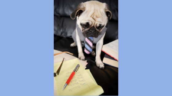 What Should I Leave For My Dog Sitter Before I Go Away