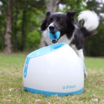 Holiday Gift Ideas For Dogs