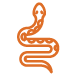 Orange Icon Snakes - Rufus and Delilah