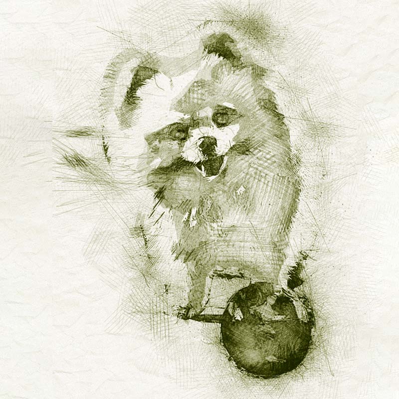 Pet Sitting Overnights and Drop-In Visits Sketch - Rufus and Delilah