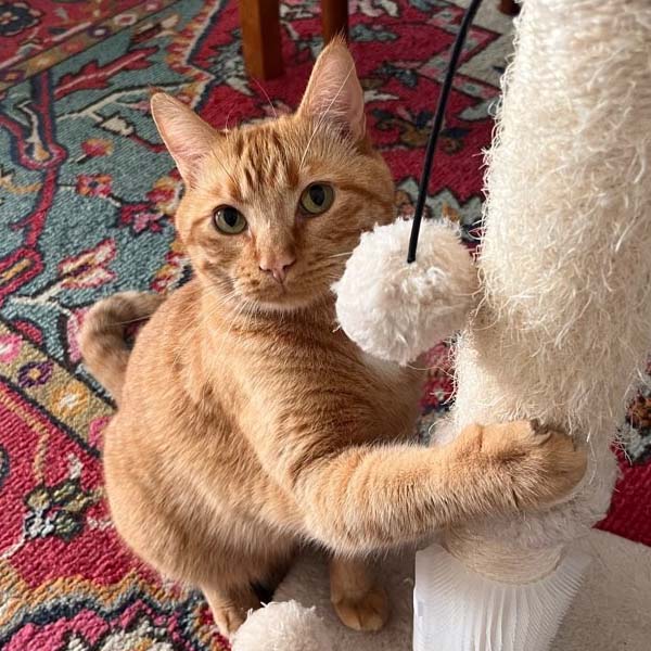 Reach Out - Rufus and Delilah